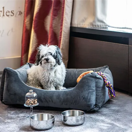 Sofitel Grande Ile Strasbourg
