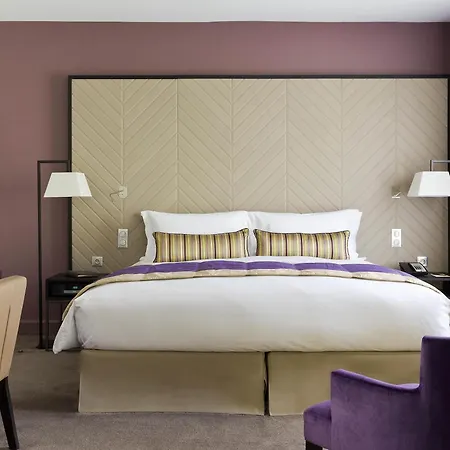 소피텔 그랑드 일 호텔 스트라스부르