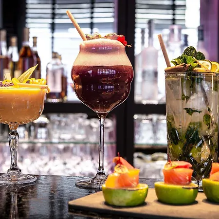 Sofitel Grande Ile Hotel Strasbourg