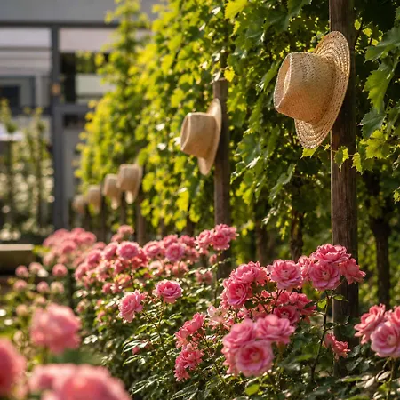 Hotel Sofitel Grande Ile Strasbourg